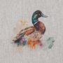 ducklings