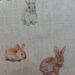 bunnies