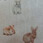 bunnies