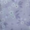 lilac-ditsy