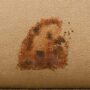 hedgehogs