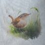 wrens
