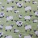 green-sheep